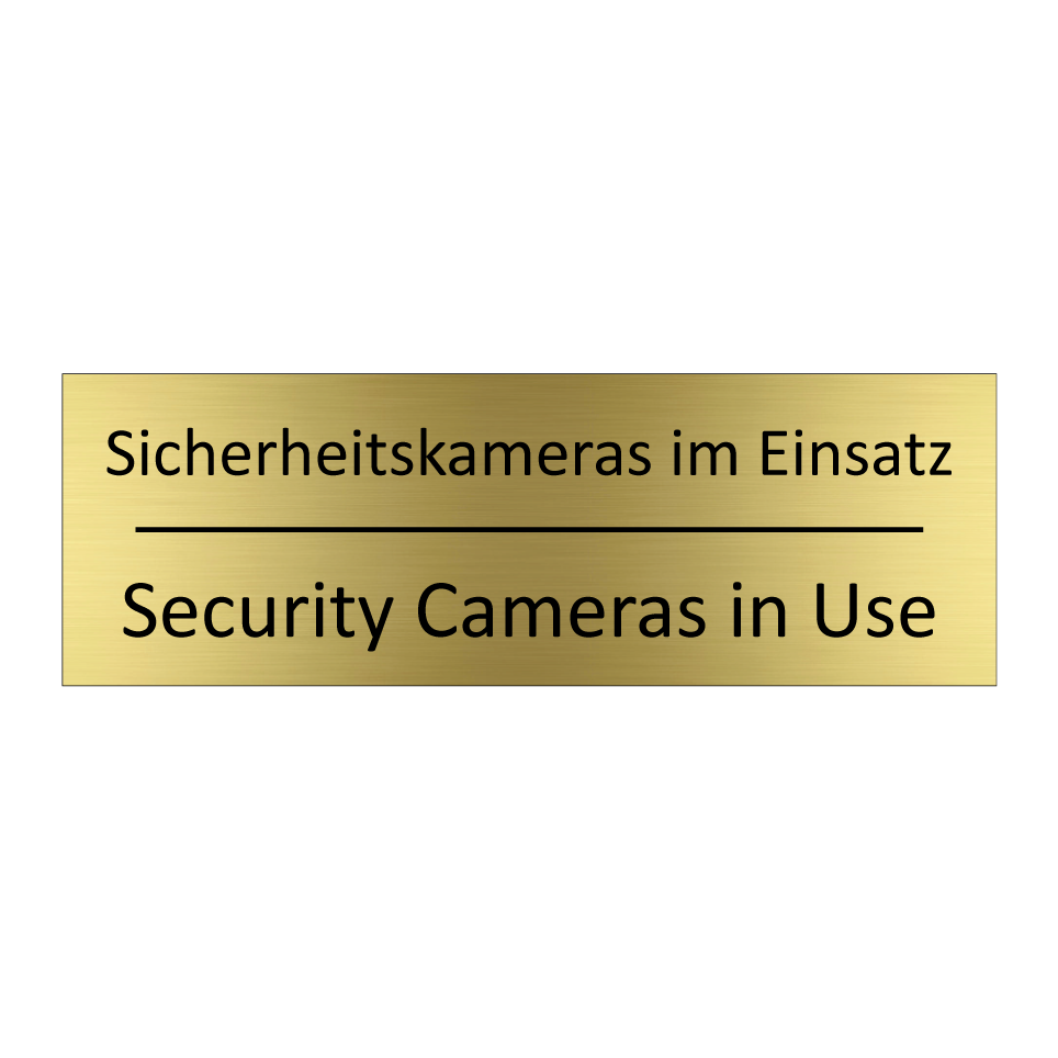 Sicherheitskameras im Einsatz - Security Cameras in Use