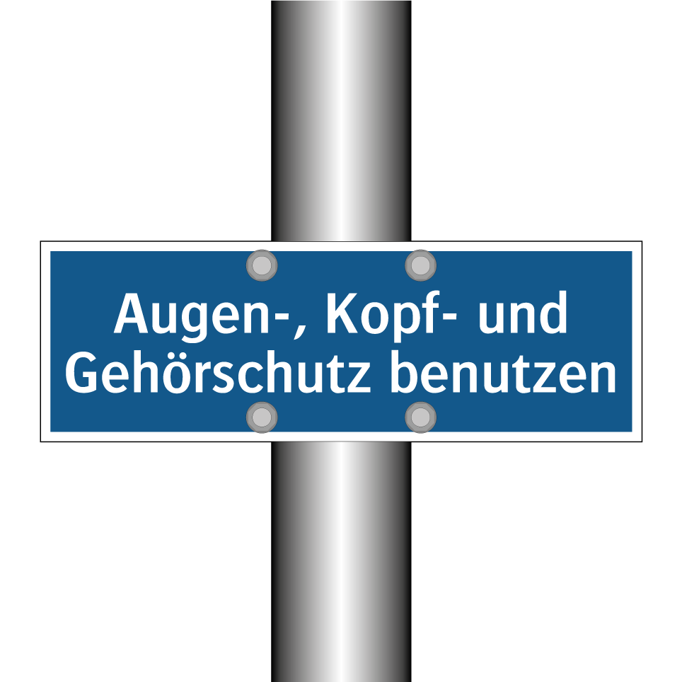 Augen-, Kopf- und Gehörschutz benutzen