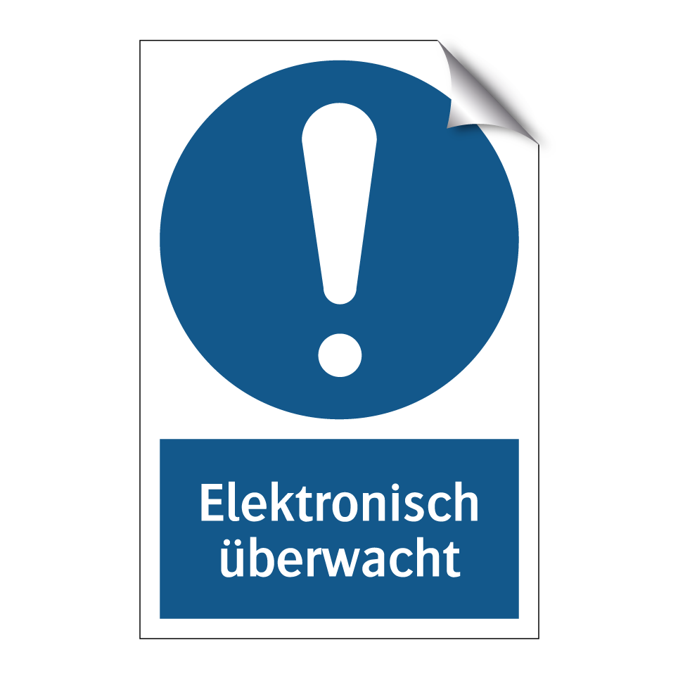Elektronisch überwacht