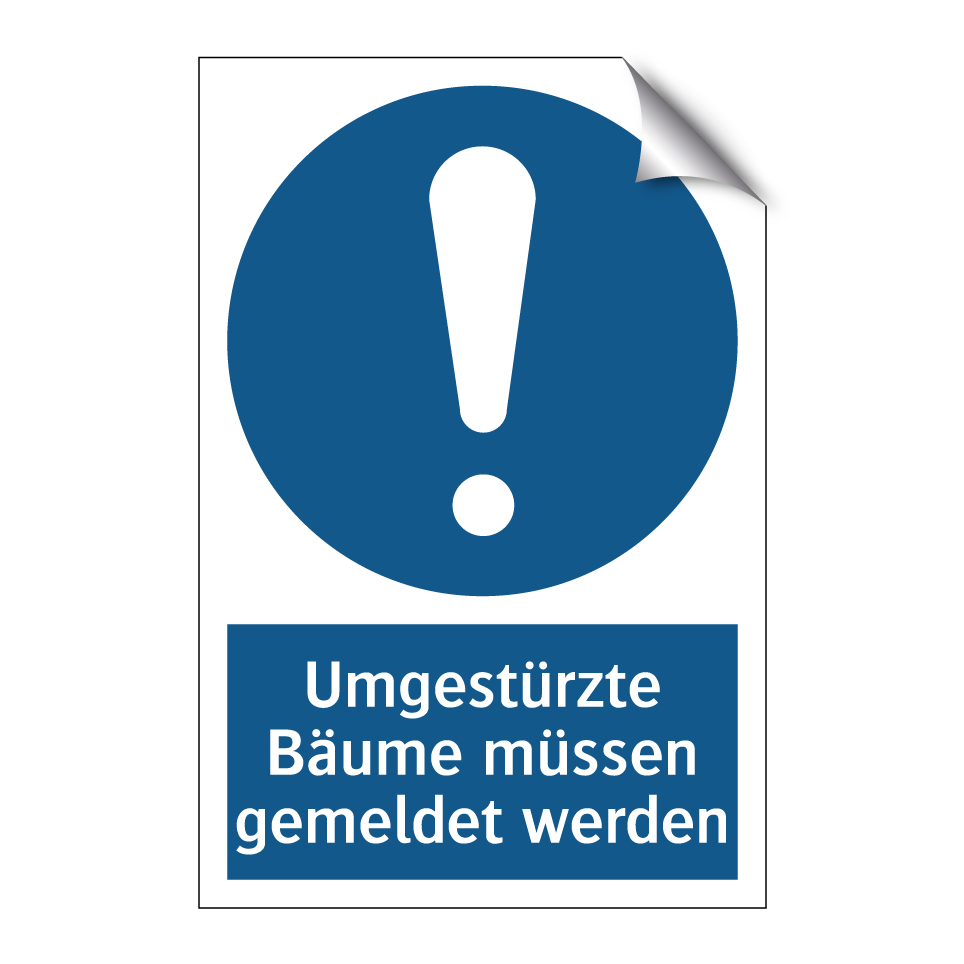 Umgestürzte Bäume müssen gemeldet werden