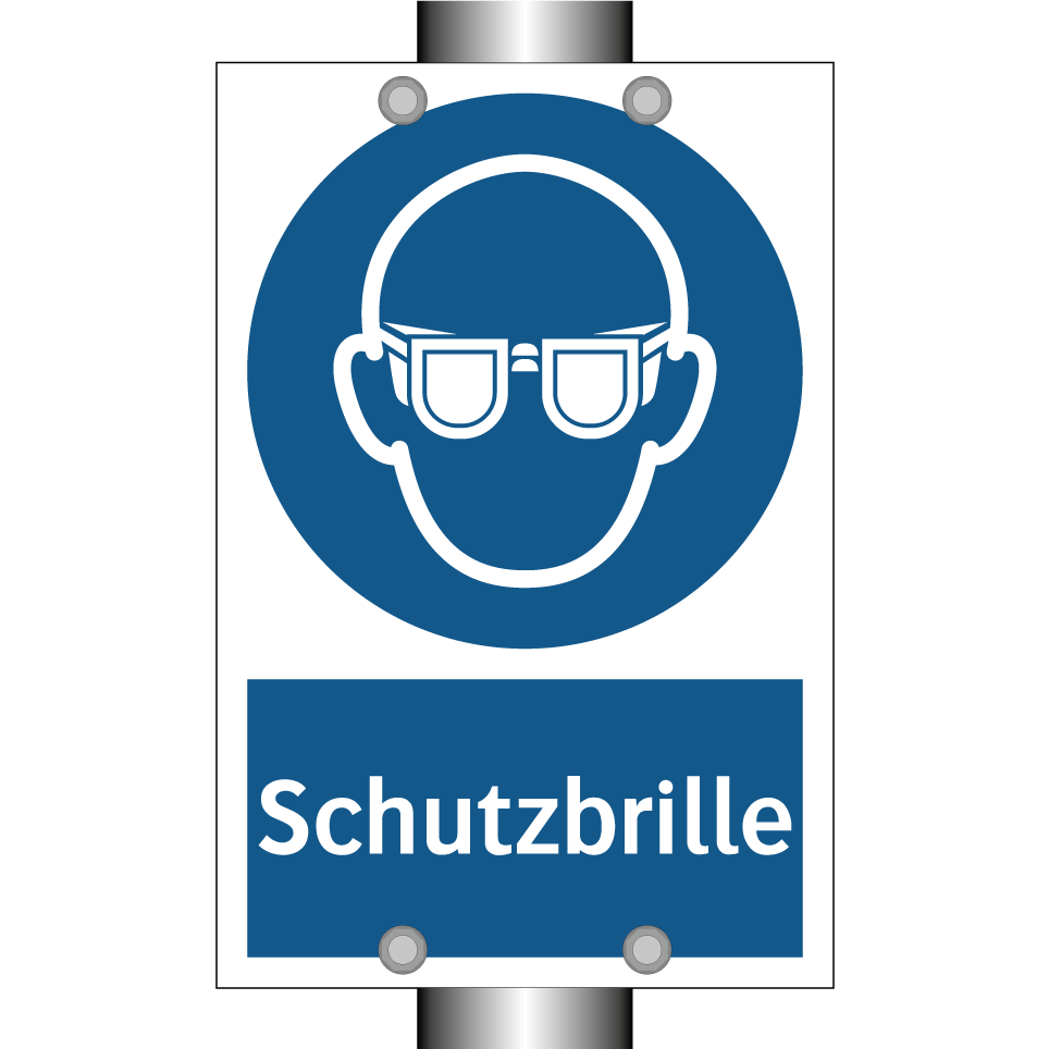 Schutzbrille