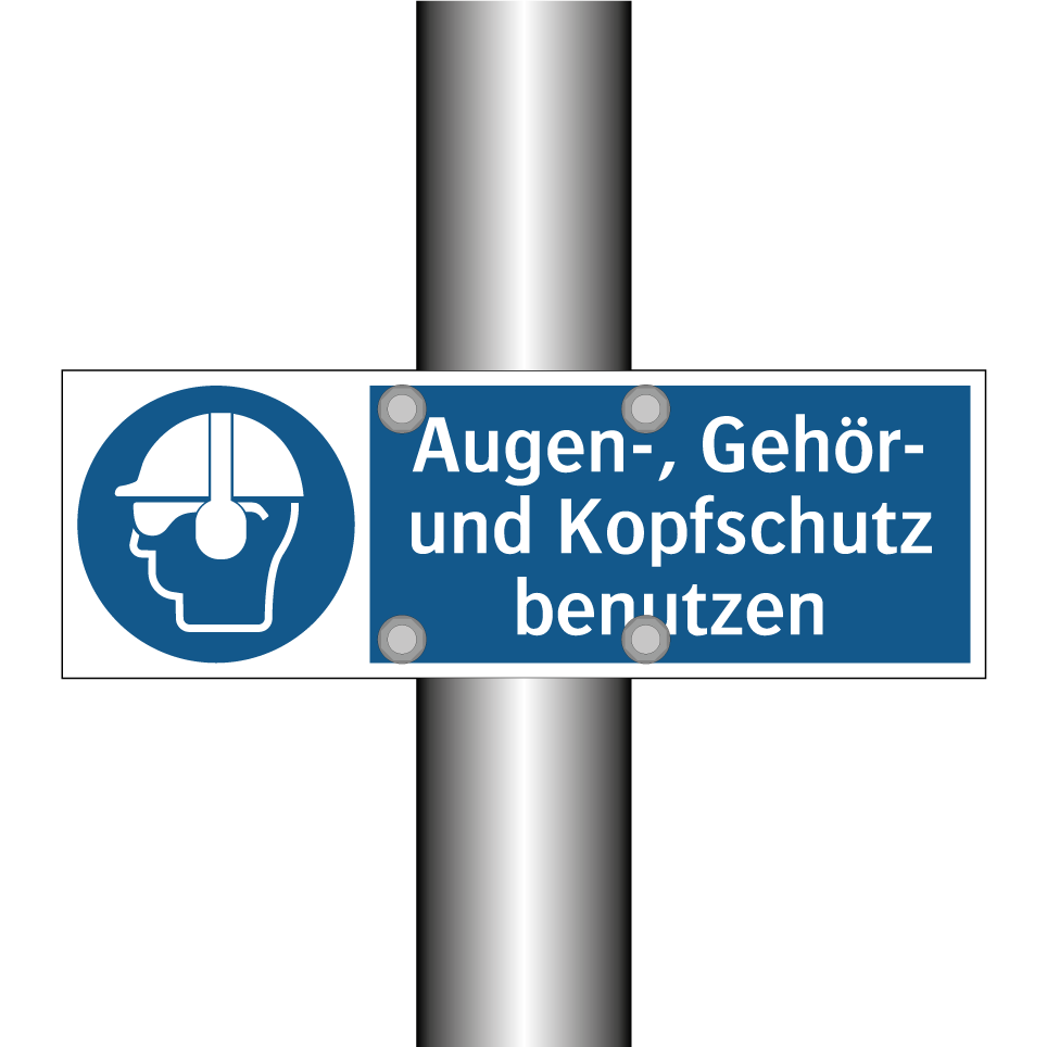 Augen-, Gehör- und Kopfschutz benutzen