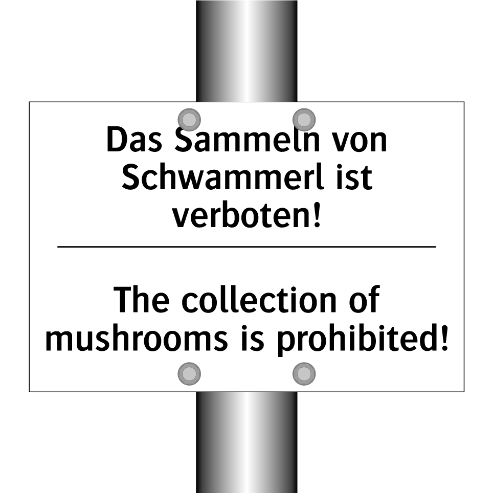 Das Sammeln von Schwammerl ist /.../ - The collection of mushrooms is /.../