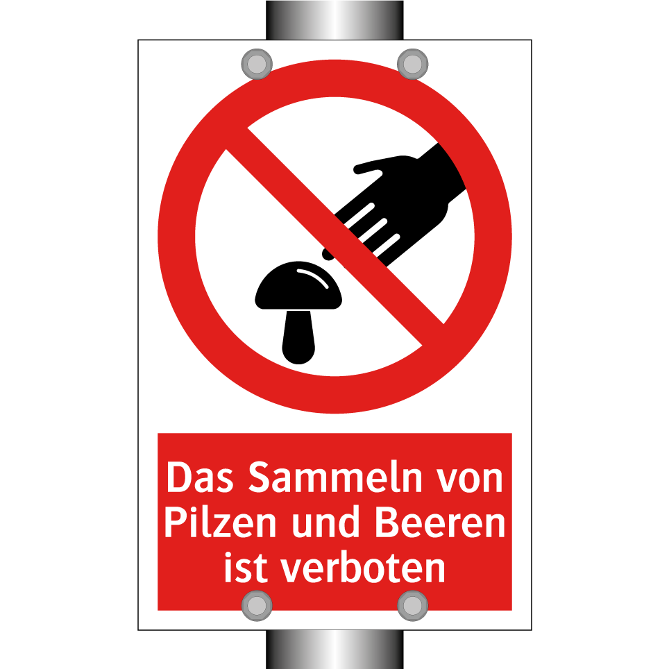 Das Sammeln von Pilzen und Beeren ist verboten