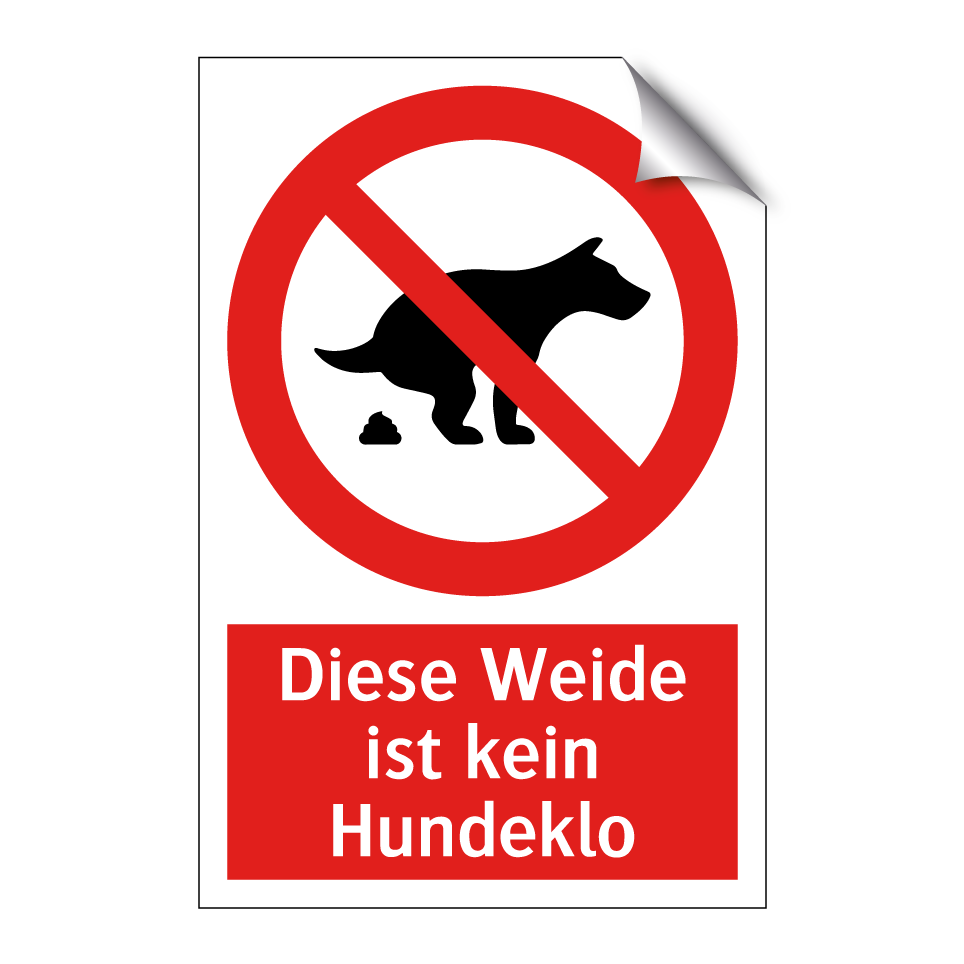 Diese Weide ist kein Hundeklo