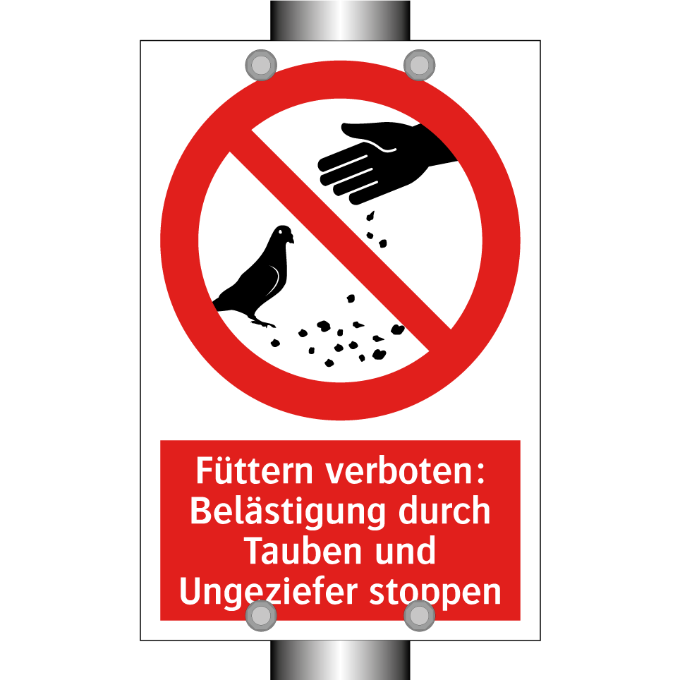 Füttern verboten: Belästigung durch Tauben und Ungeziefer stoppen