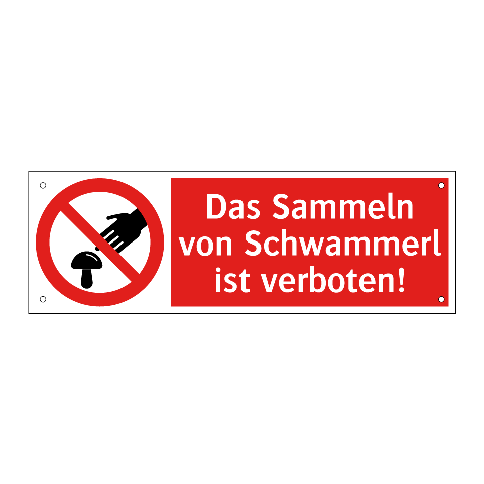 Das Sammeln von Schwammerl ist verboten!