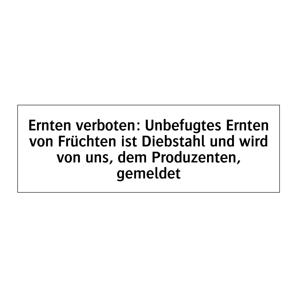 Ernten verboten: Unbefugtes Ernten von Früchten ist Diebstahl und wird von uns, dem Produzenten, gemeldet