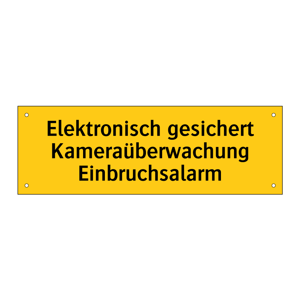 Elektronisch gesichert Kameraüberwachung Einbruchsalarm