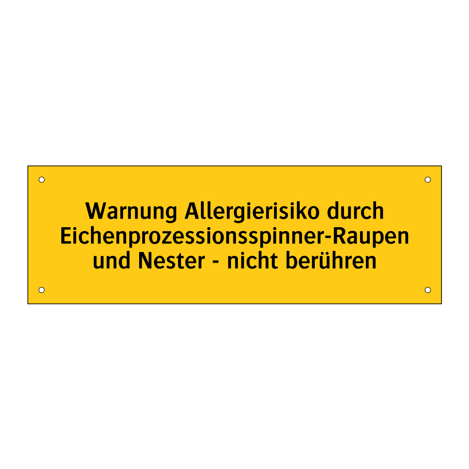 Warnung Allergierisiko durch Eichenprozessionsspinner-Raupen und Nester - nicht berühren