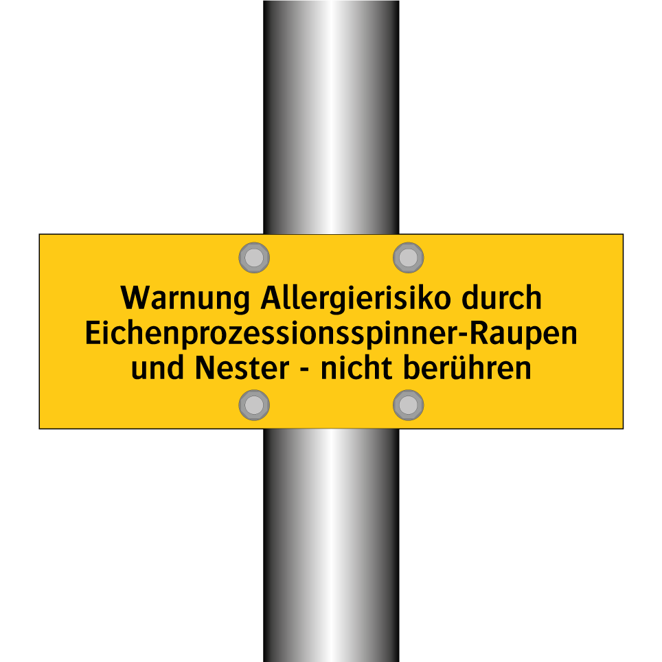 Warnung Allergierisiko durch Eichenprozessionsspinner-Raupen und Nester - nicht berühren