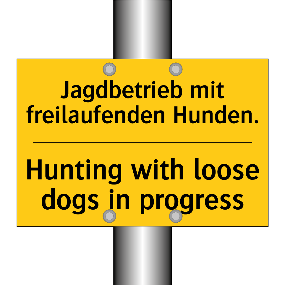 Jagdbetrieb mit freilaufenden /.../ - Hunting with loose dogs in progress/.../