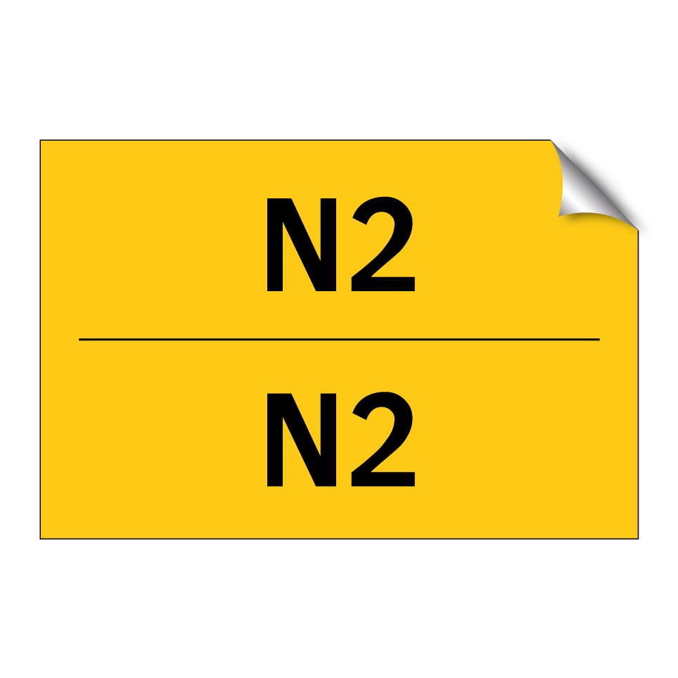 N2 - N2