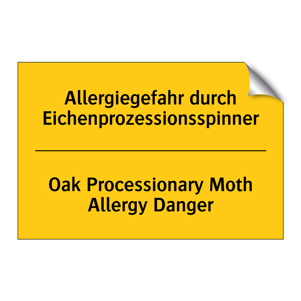 Allergiegefahr durch Eichenprozessionsspinner/.../ - Oak Processionary Moth Allergy /.../