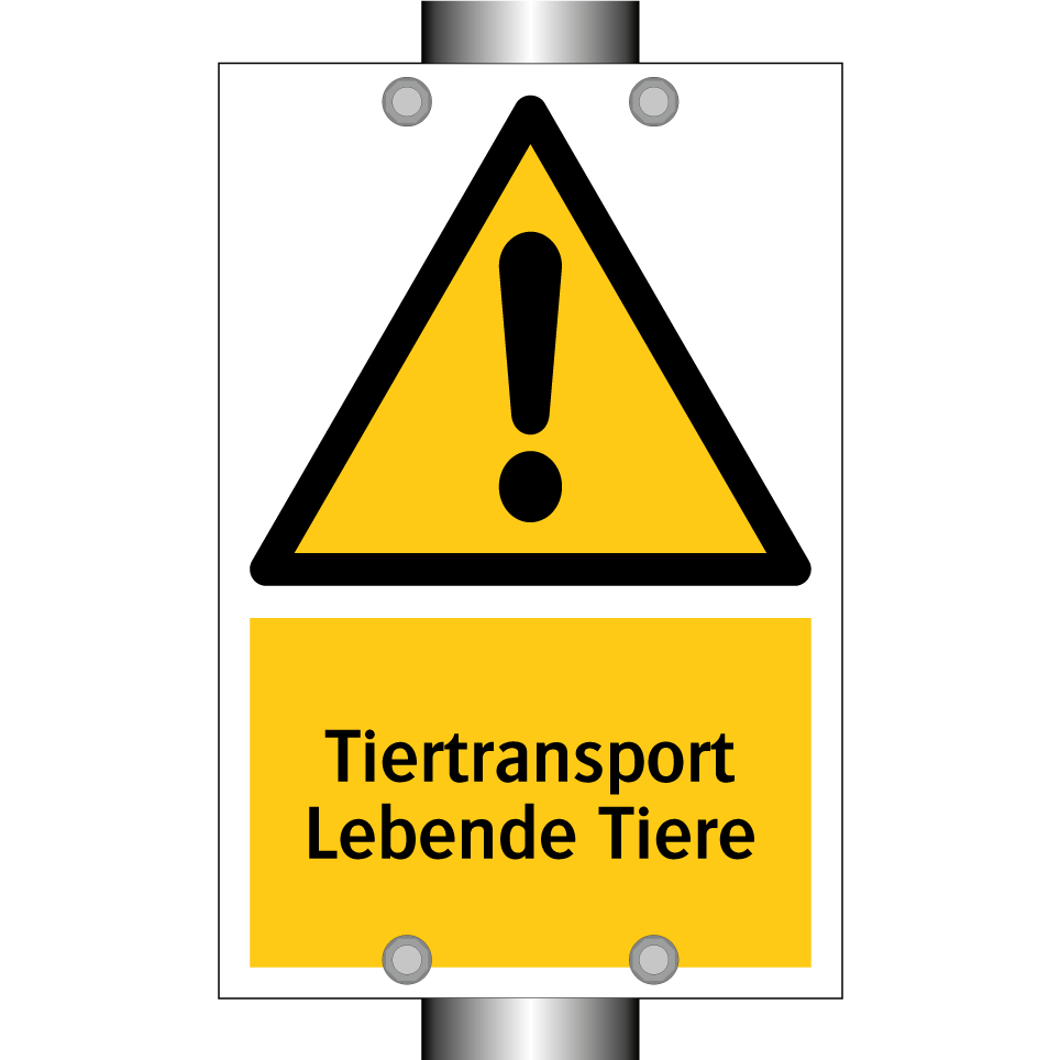 Tiertransport Lebende Tiere