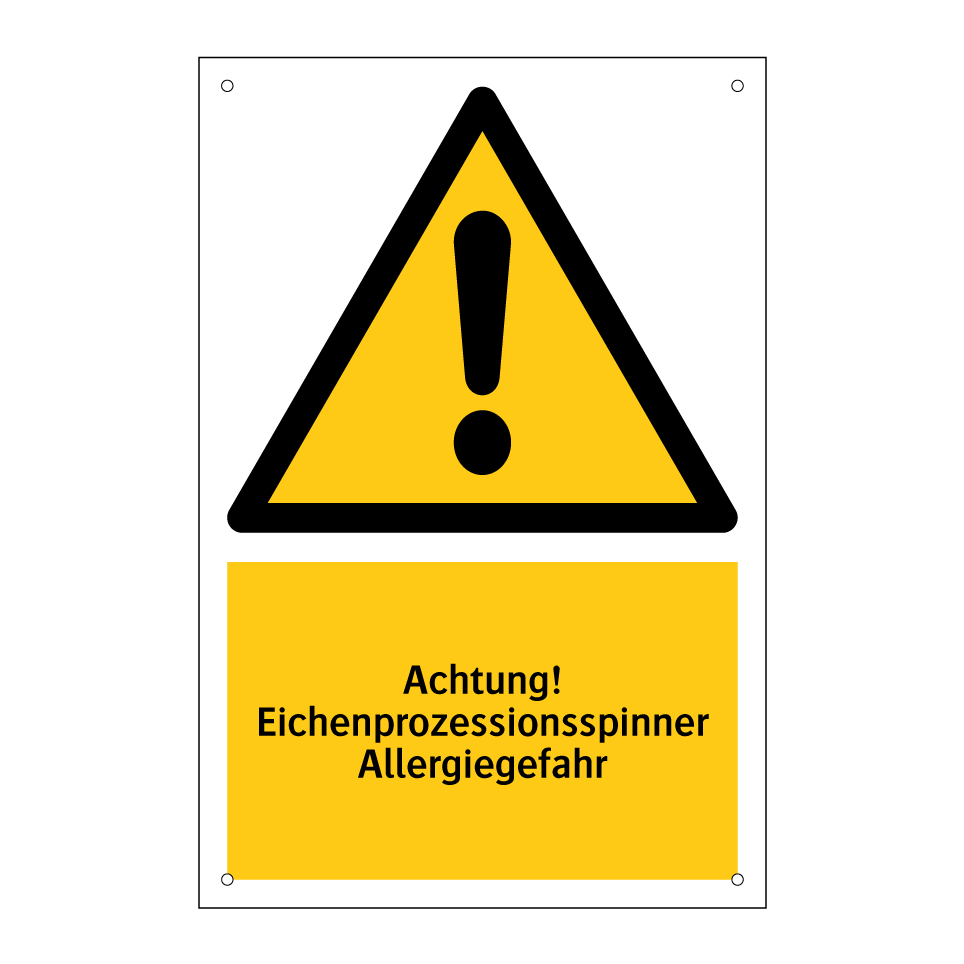 Achtung! Eichenprozessionsspinner Allergiegefahr
