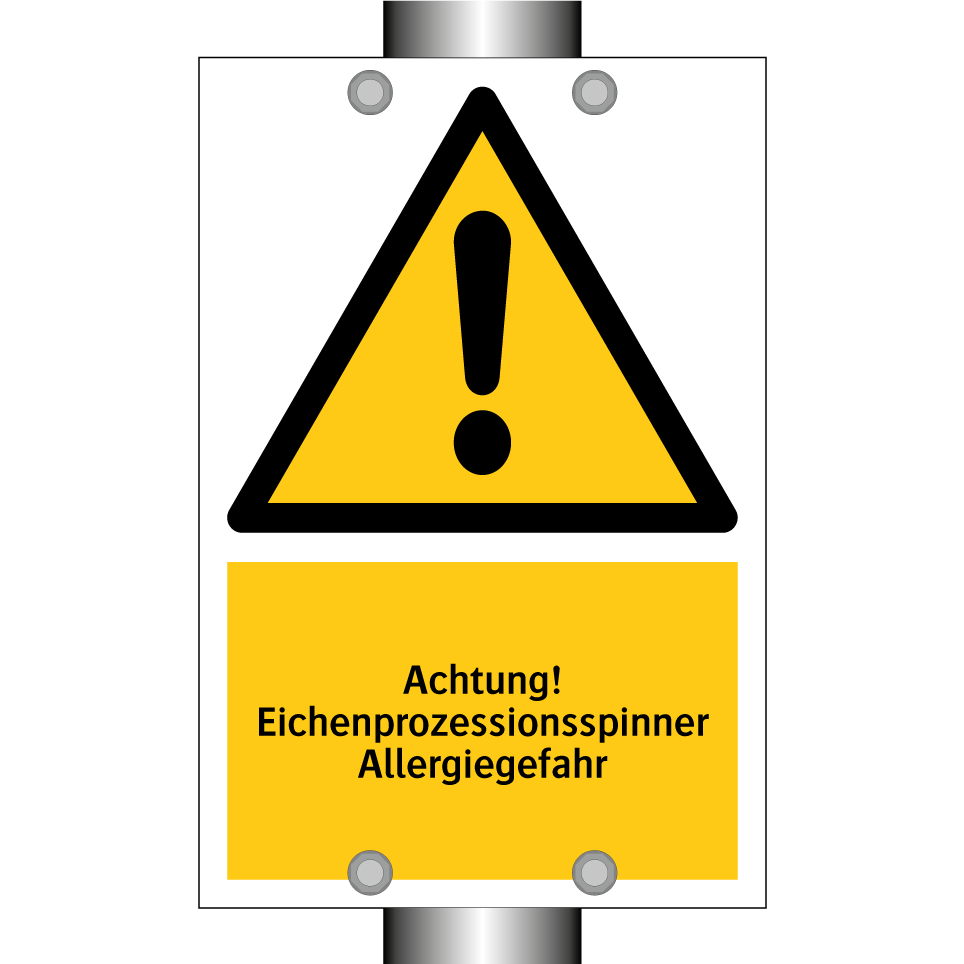 Achtung! Eichenprozessionsspinner Allergiegefahr