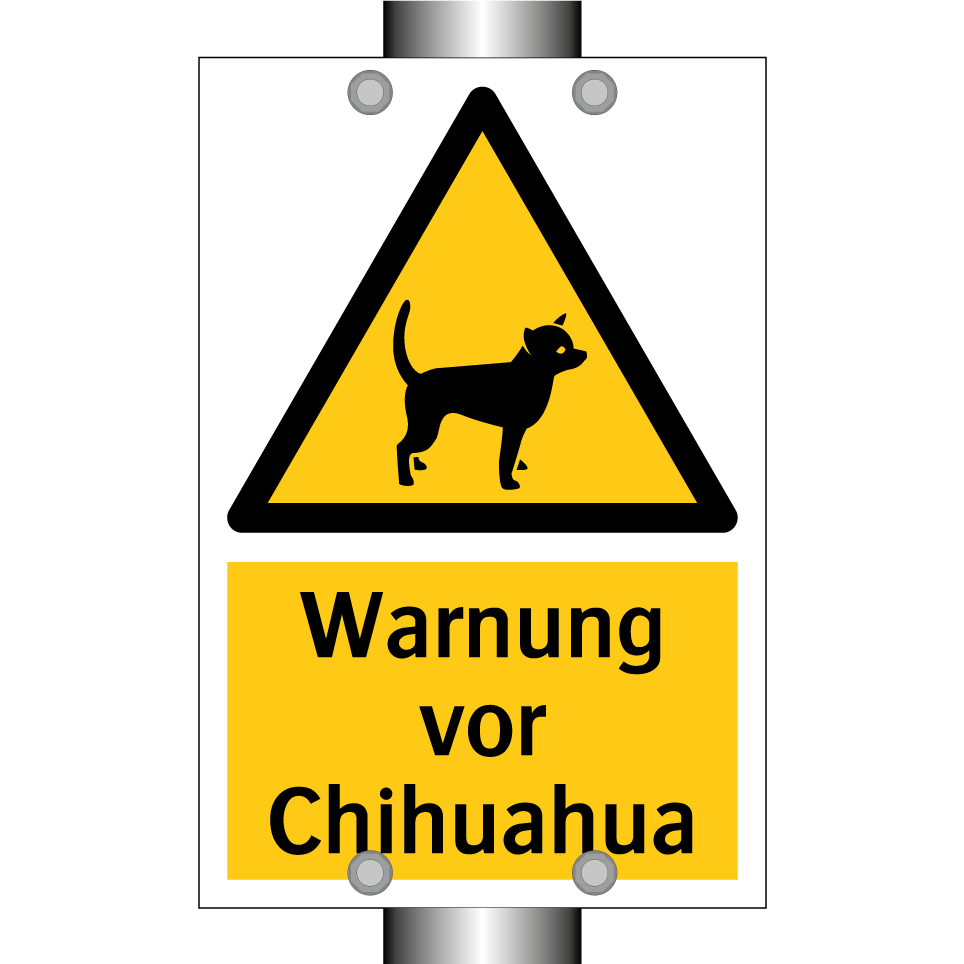 Warnung vor Chihuahua
