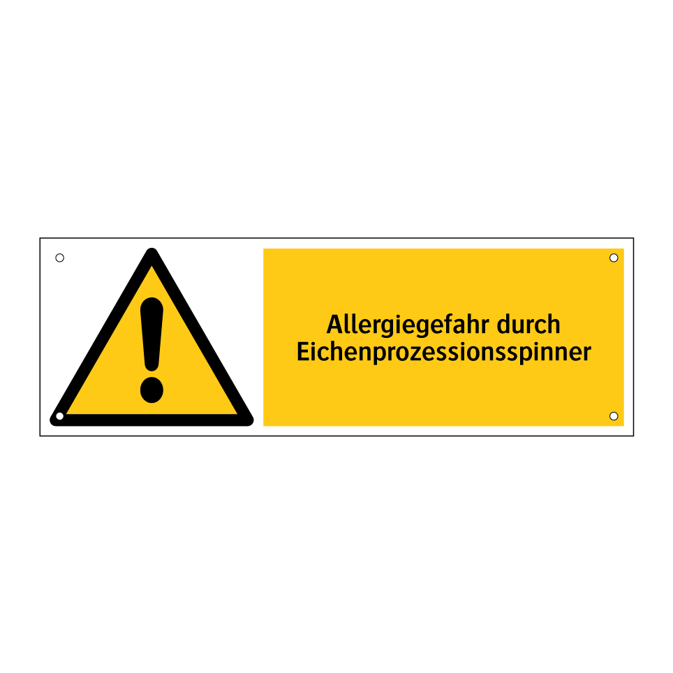 Allergiegefahr durch Eichenprozessionsspinner