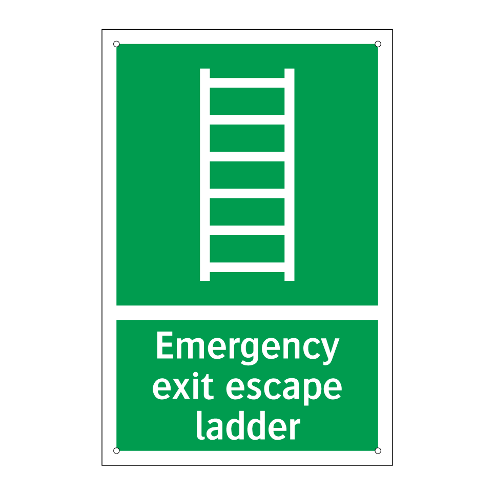 Emergency exit escape ladder