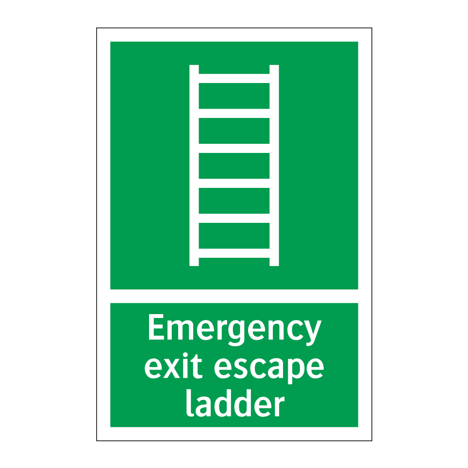 Emergency exit escape ladder