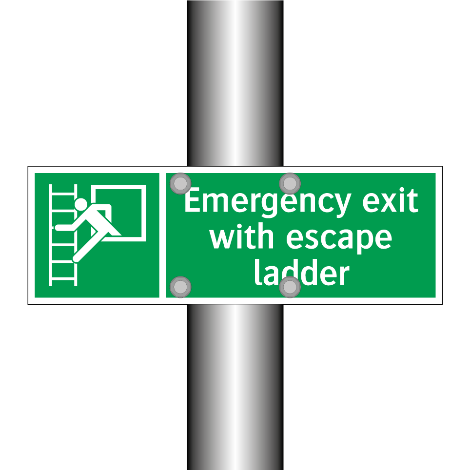 Emergency exit with escape ladder