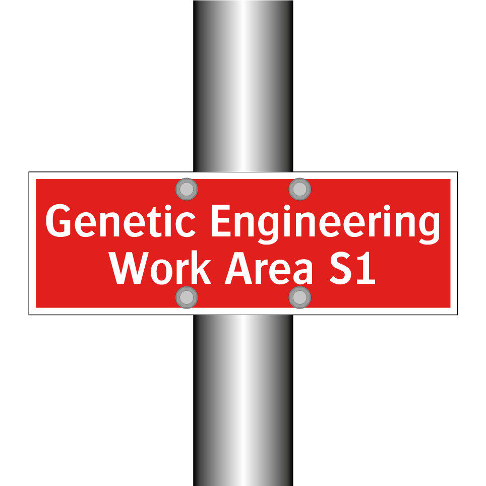Genetic Engineering Work Area S1