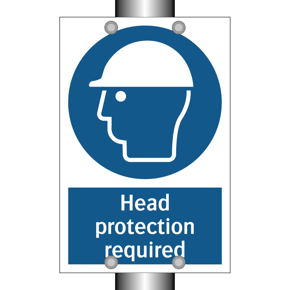 Head protection required