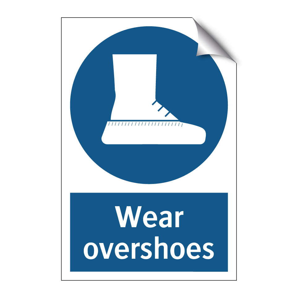 Wear overshoes
