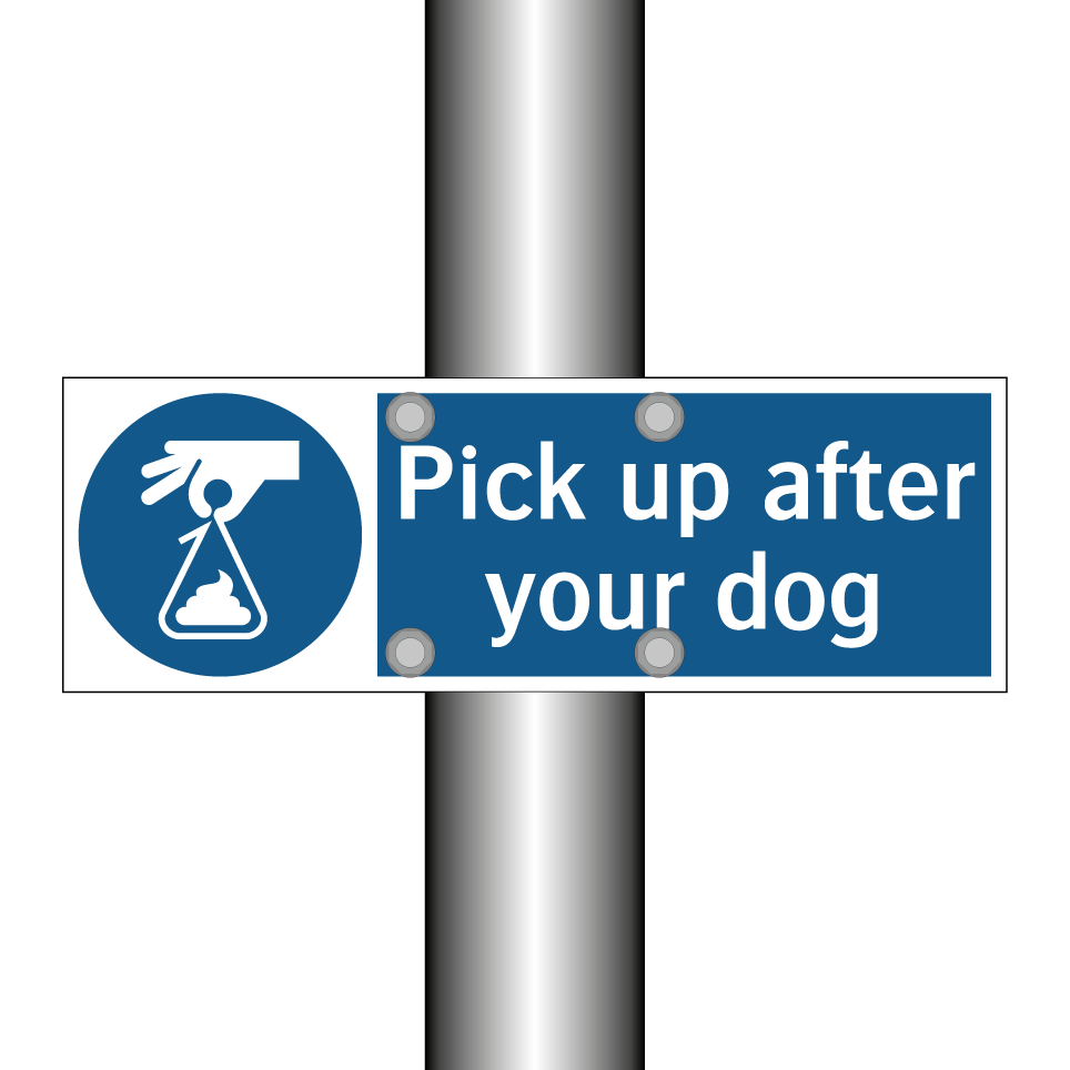 Pick up after your dog