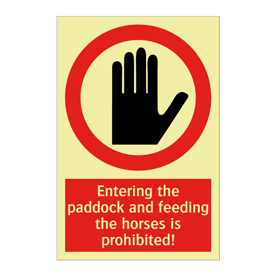 Entering the paddock and feeding the horses is prohibited!