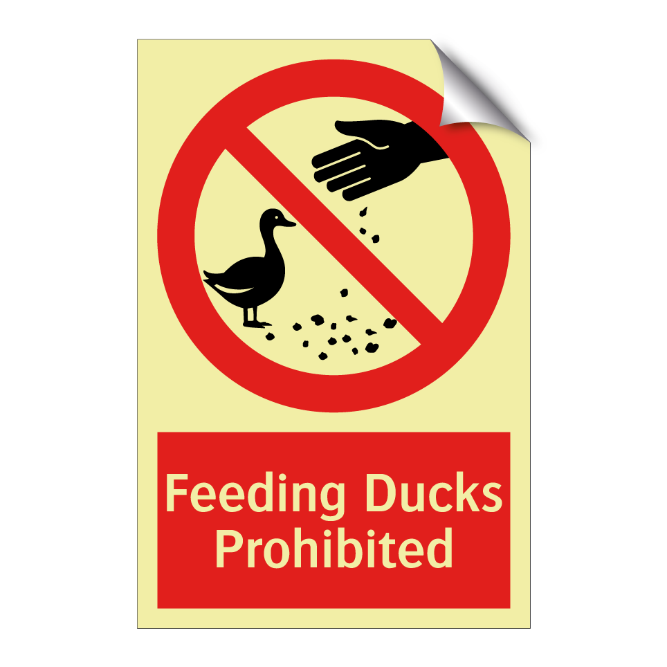 Feeding Ducks Prohibited