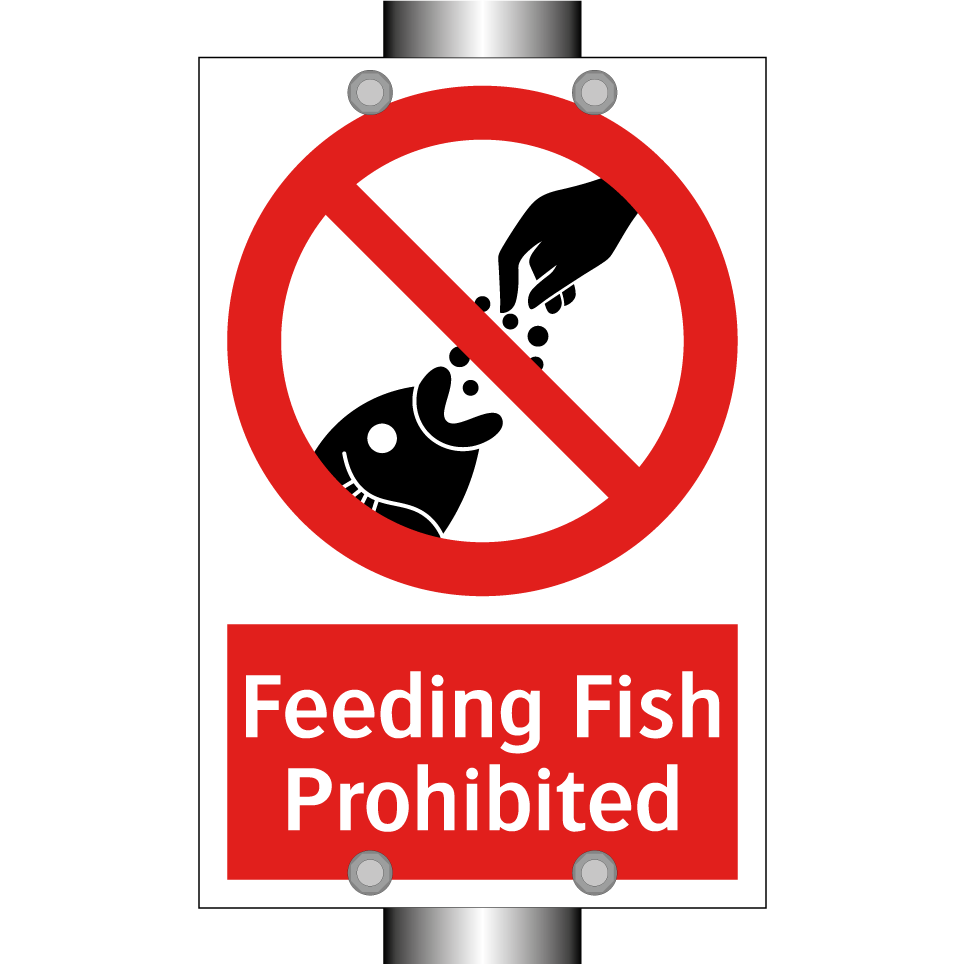 Feeding Fish Prohibited