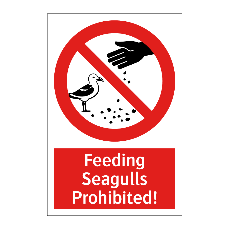 Feeding Seagulls Prohibited!