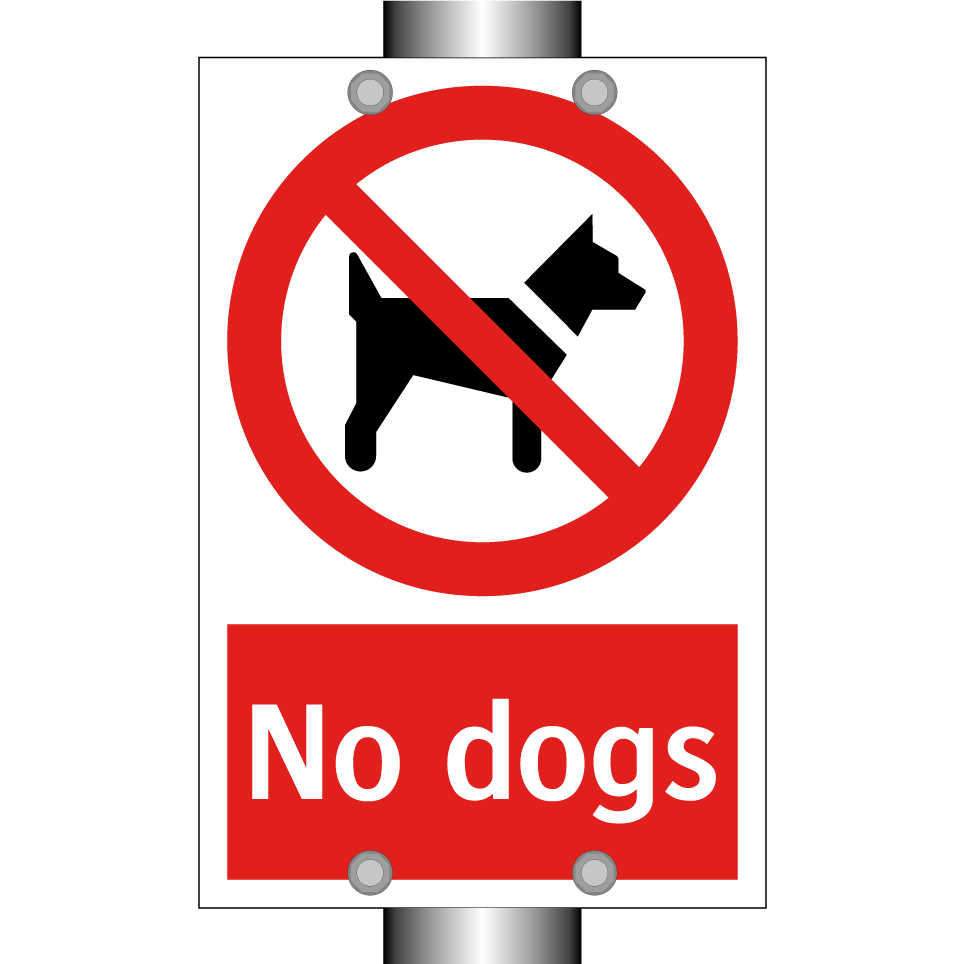 No dogs
