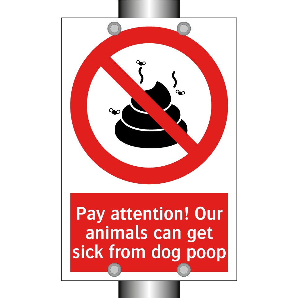 Pay attention! Our animals can get sick from dog poop
