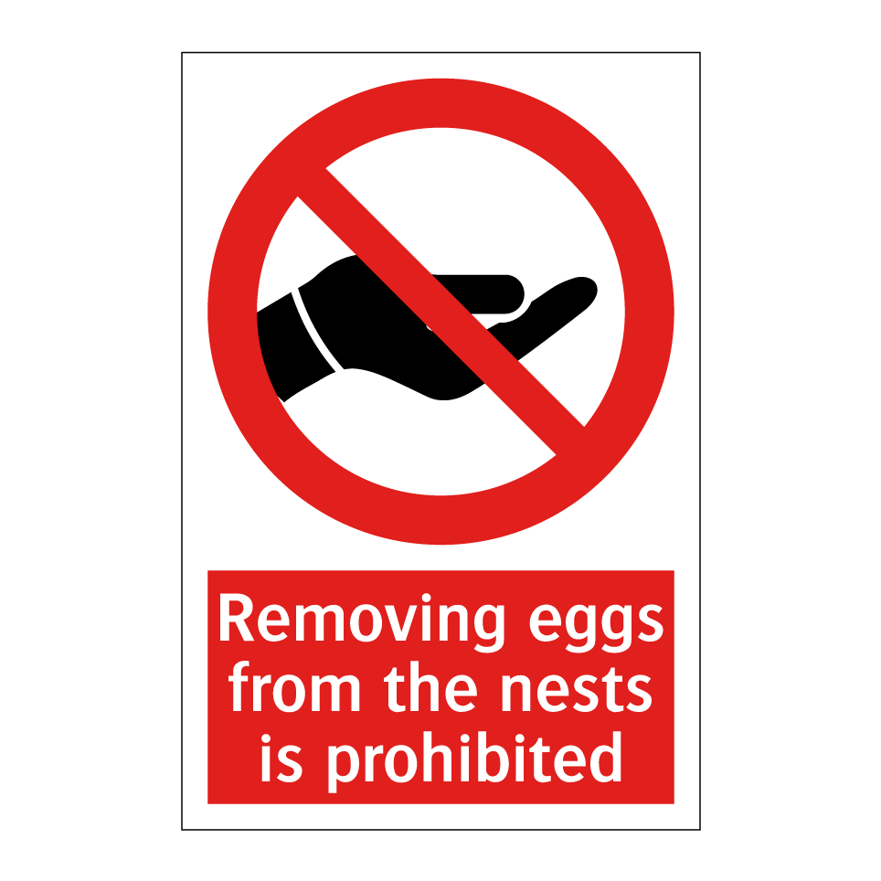 Removing eggs from the nests is prohibited