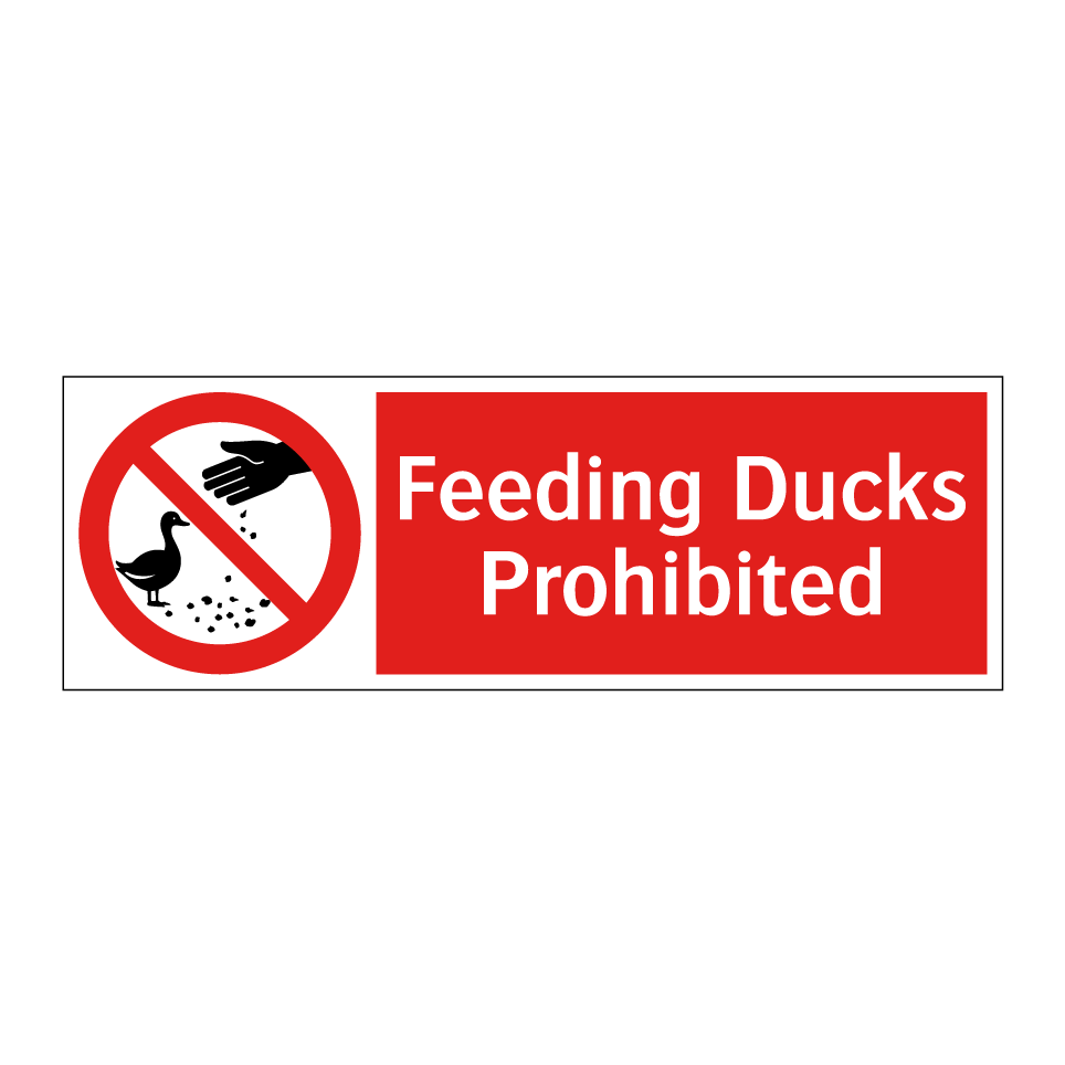 Feeding Ducks Prohibited