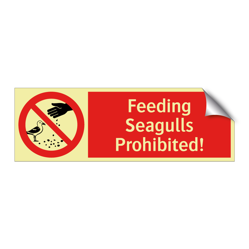 Feeding Seagulls Prohibited!