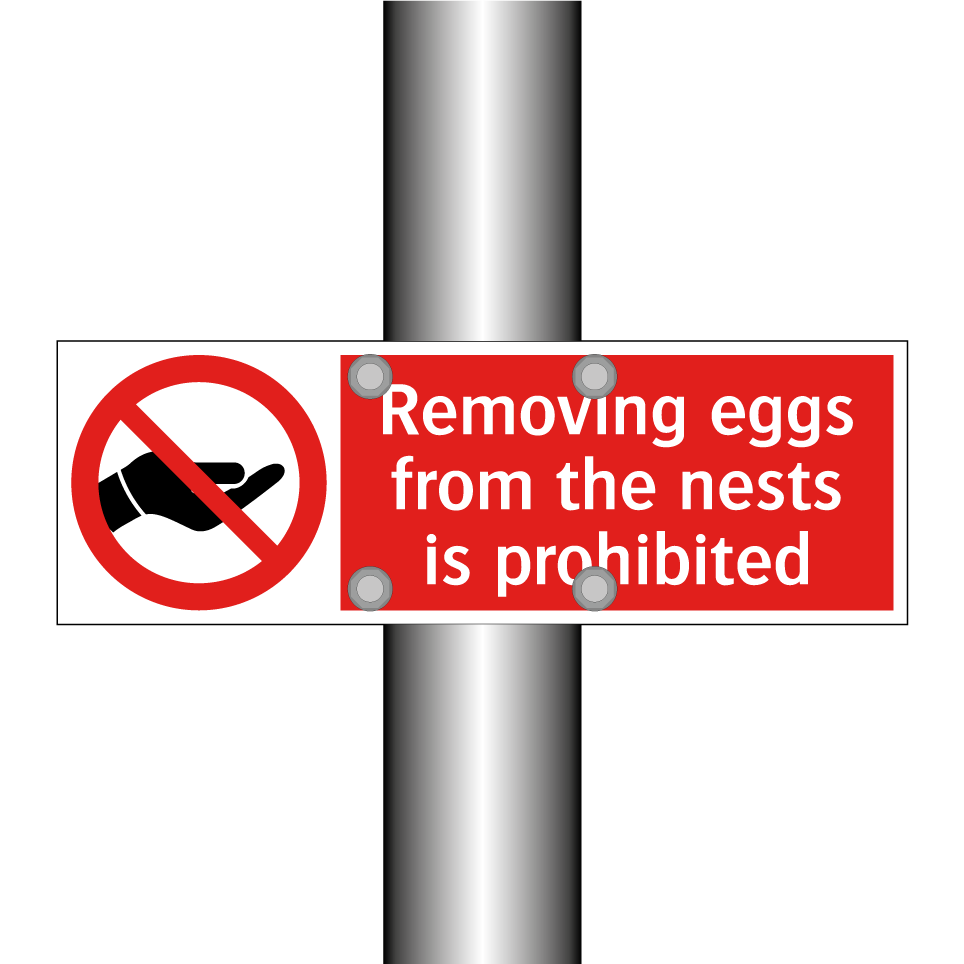 Removing eggs from the nests is prohibited