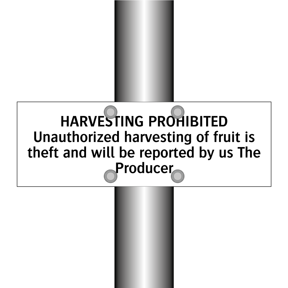 HARVESTING PROHIBITED Unauthorized harvesting of fruit is theft and will be reported by us The Producer