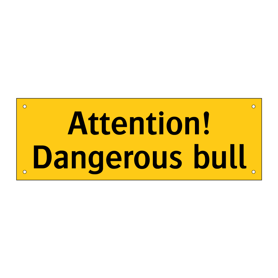 Attention! Dangerous bull