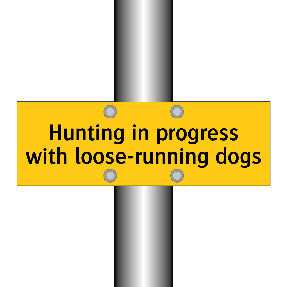Hunting in progress with loose-running dogs