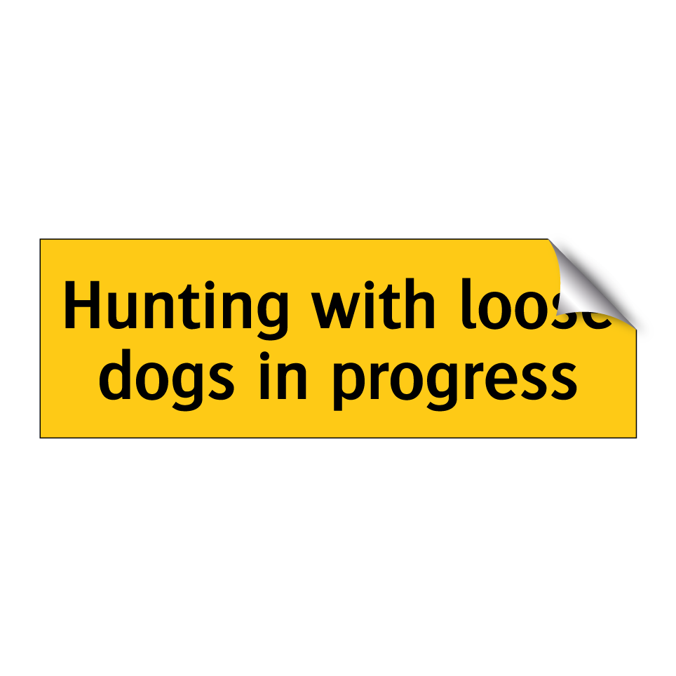 Hunting with loose dogs in progress