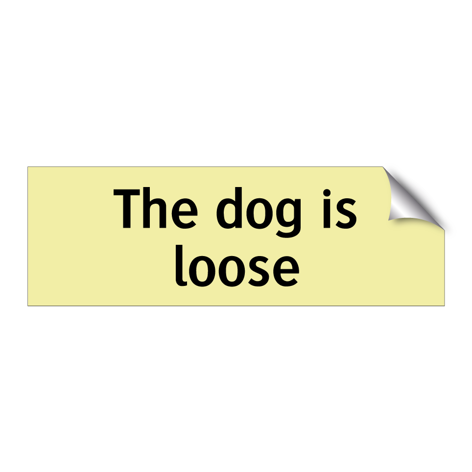 The dog is loose