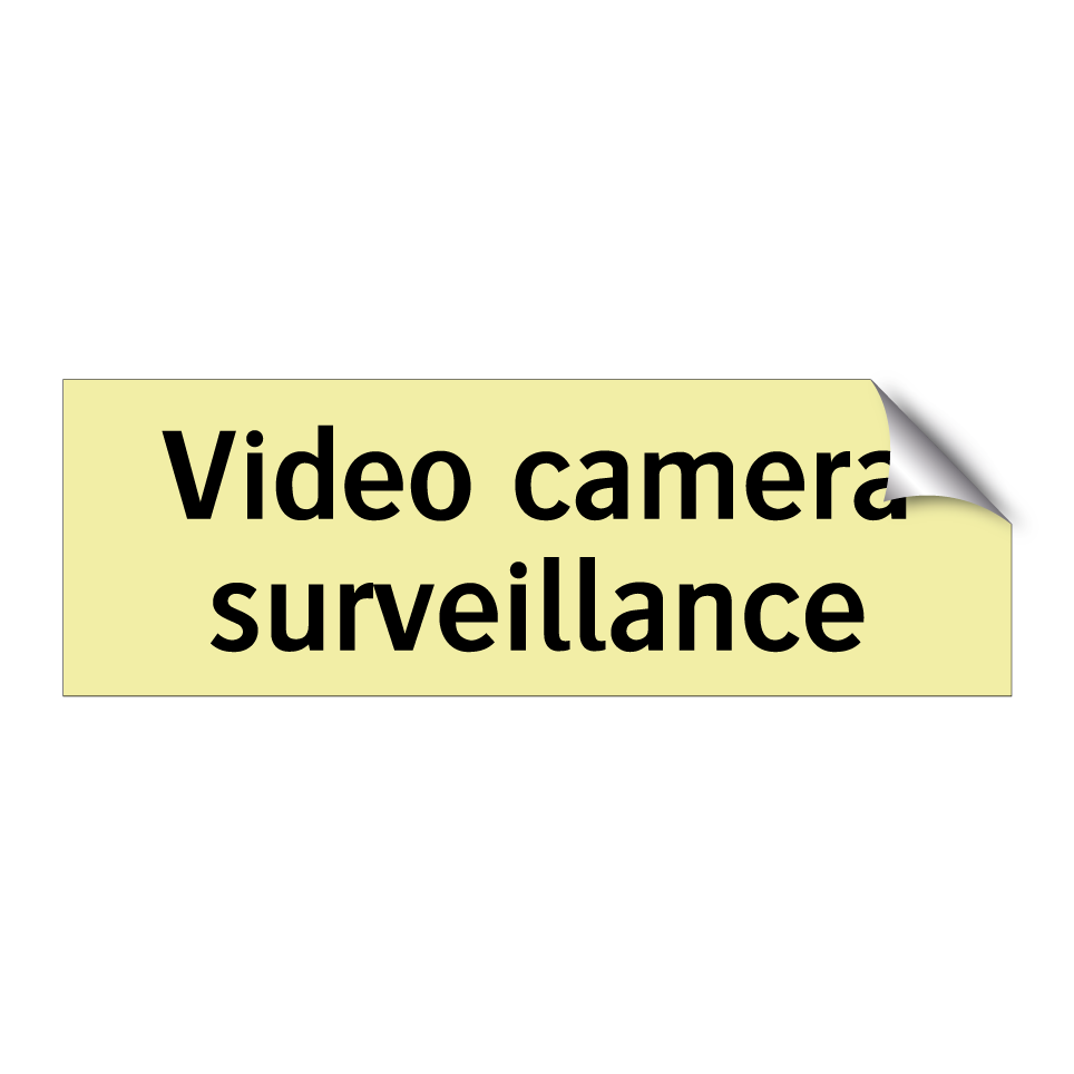 Video camera surveillance