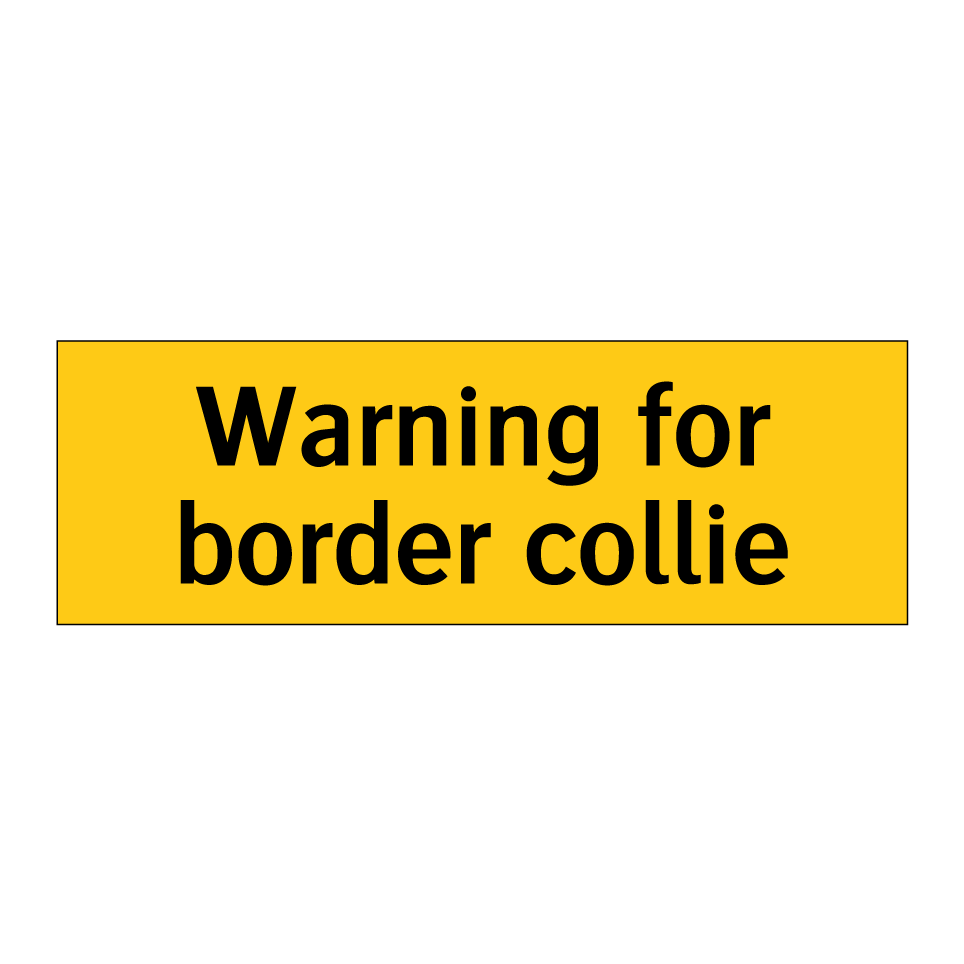 Warning for border collie