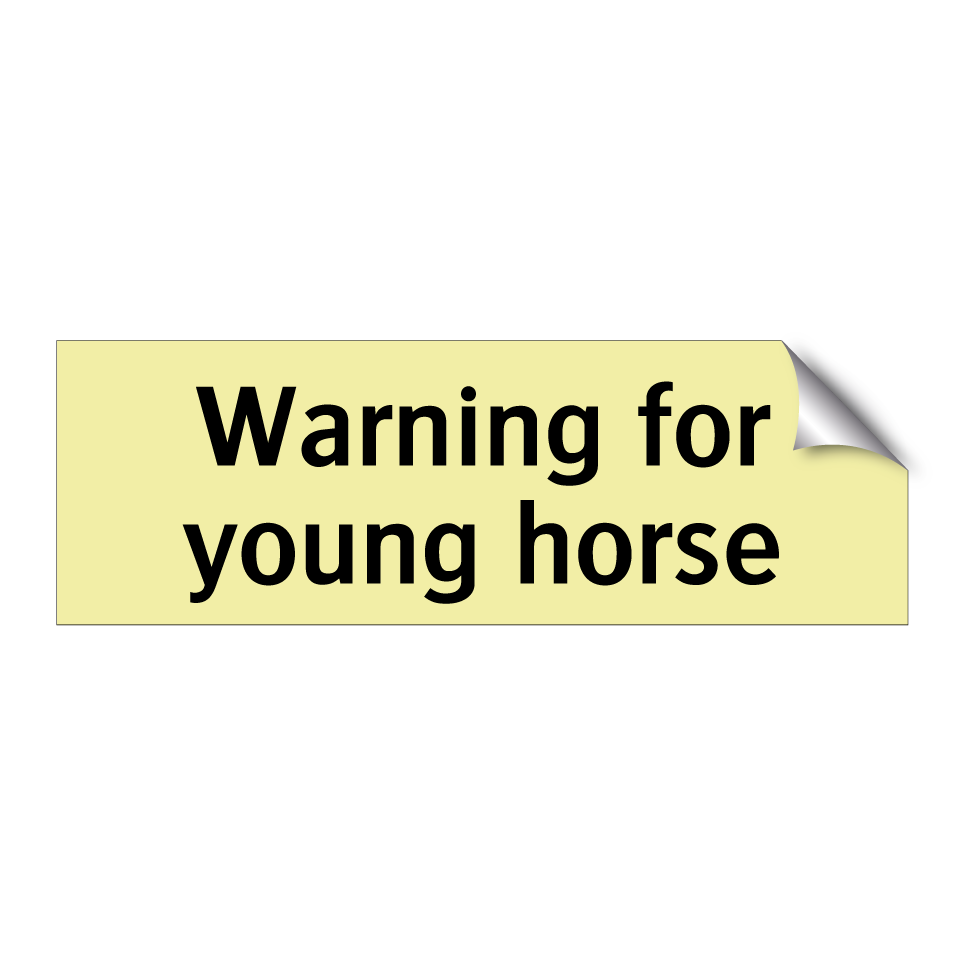 Warning for young horse