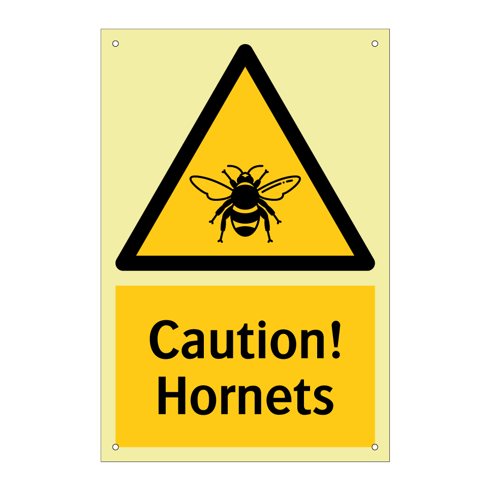 Caution! Hornets