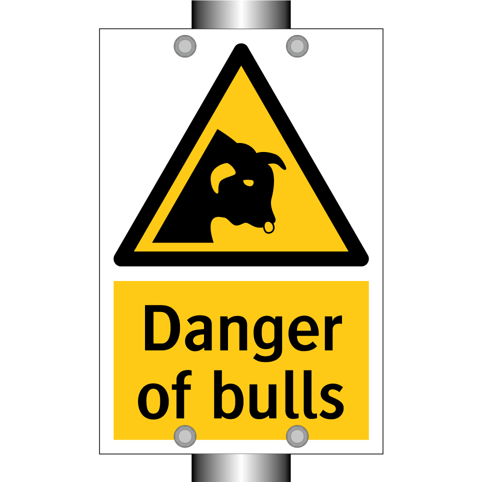 Danger of bulls